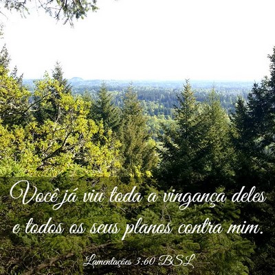 Picture 03 - Lamentações 3:60 BSL - Você já viu toda a vingança deles e todos os - Bible Verse Picture