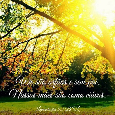 Picture 03 - Lamentações 5:3 BSL - We são órfãos e sem pai. Nossas mães são - Bible Verse Picture