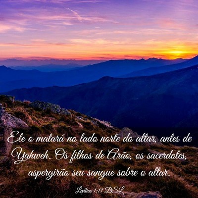 Picture 03 - Levítico 1:11 BSL - Ele o matará no lado norte do altar, antes de - Bible Verse Picture