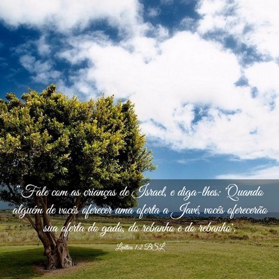 Picture 03 - Levítico 1:2 BSL - “Fale com as crianças de Israel, e diga-lhes: - Bible Verse Picture