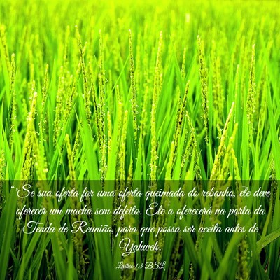Picture 03 - Levítico 1:3 BSL - “'Se sua oferta for uma oferta queimada do - Bible Verse Picture