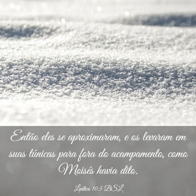 Picture 03 - Levítico 10:5 BSL - Então eles se aproximaram, e os levaram em suas - Bible Verse Picture