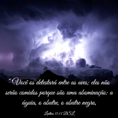 Picture 03 - Levítico 11:13 BSL - “'Você os detestará entre as aves; eles não - Bible Verse Picture
