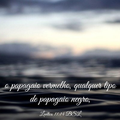 Picture 03 - Levítico 11:14 BSL - o papagaio vermelho, qualquer tipo de papagaio - Bible Verse Picture
