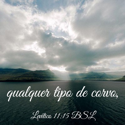 Picture 03 - Levítico 11:15 BSL - qualquer tipo de - Bible Verse Picture