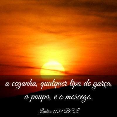 Picture 03 - Levítico 11:19 BSL - a cegonha, qualquer tipo de garça, a poupa, e o - Bible Verse Picture