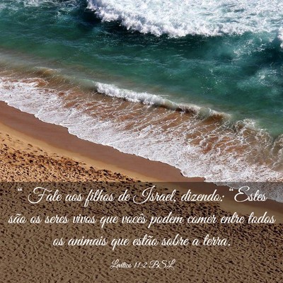 Picture 03 - Levítico 11:2 BSL - “ Fale aos filhos de Israel, dizendo: “Estes - Bible Verse Picture