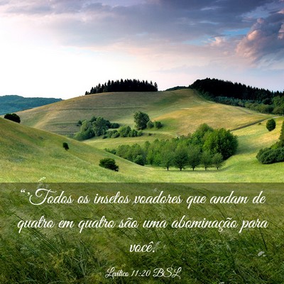 Picture 03 - Levítico 11:20 BSL - “'Todos os insetos voadores que andam de quatro - Bible Verse Picture