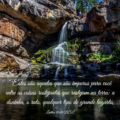 Picture 03 - Levítico 11:29 BSL - “'Estes são aqueles que são impuros para - Bible Verse Picture