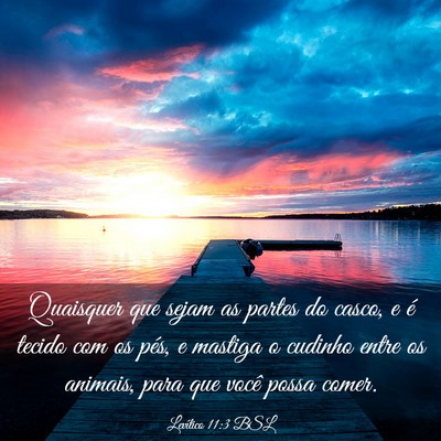 Picture 03 - Levítico 11:3 BSL - Quaisquer que sejam as partes do casco, e é - Bible Verse Picture