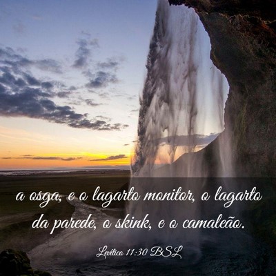 Picture 03 - Levítico 11:30 BSL - a osga, e o lagarto monitor, o lagarto da parede, - Bible Verse Picture