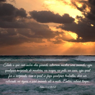 Picture 03 - Levítico 11:32 BSL - Tudo o que cair sobre eles quando estiverem - Bible Verse Picture