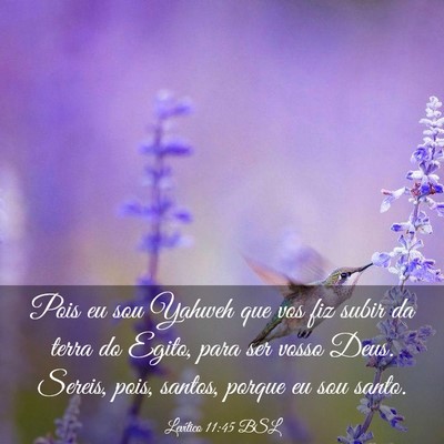 Picture 03 - Levítico 11:45 BSL - Pois eu sou Yahweh que vos fiz subir da terra do - Bible Verse Picture