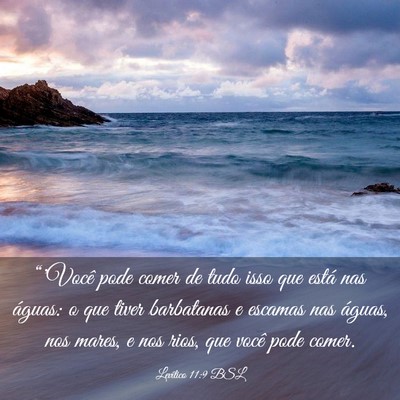 Picture 03 - Levítico 11:9 BSL - “'Você pode comer de tudo isso que está nas - Bible Verse Picture