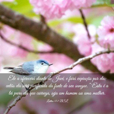 Picture 03 - Levítico 12:7 BSL - Ele a oferecerá diante de Javé, e fará - Bible Verse Picture