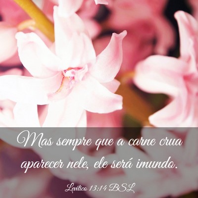 Picture 03 - Levítico 13:14 BSL - Mas sempre que a carne crua aparecer nele, ele - Bible Verse Picture