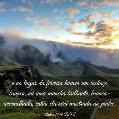 Picture 03 - Levítico 13:19 BSL - e no lugar da fervura houver um inchaço branco, - Bible Verse Picture
