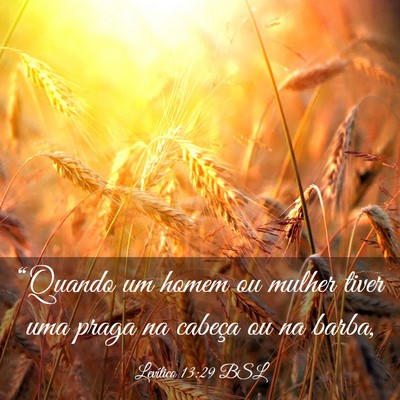 Picture 03 - Levítico 13:29 BSL - “Quando um homem ou mulher tiver uma praga na - Bible Verse Picture