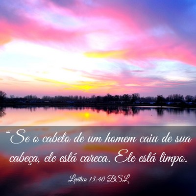 Picture 03 - Levítico 13:40 BSL - “Se o cabelo de um homem caiu de sua cabeça, - Bible Verse Picture