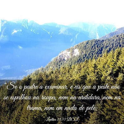 Picture 03 - Levítico 13:53 BSL - “Se o padre a examinar, e eis que a peste não - Bible Verse Picture