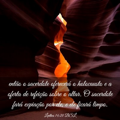 Picture 03 - Levítico 14:20 BSL - então o sacerdote oferecerá o holocausto e a - Bible Verse Picture