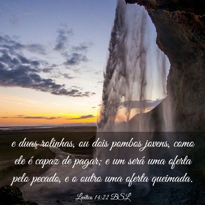Picture 03 - Levítico 14:22 BSL - e duas rolinhas, ou dois pombos jovens, como ele - Bible Verse Picture