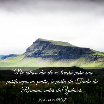 Picture 03 - Levítico 14:23 BSL - “No oitavo dia ele os levará para sua - Bible Verse Picture