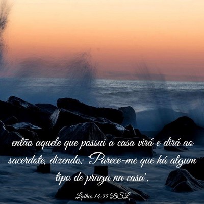 Picture 03 - Levítico 14:35 BSL - então aquele que possui a casa virá e dirá ao - Bible Verse Picture