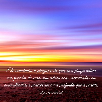 Picture 03 - Levítico 14:37 BSL - Ele examinará a praga; e eis que, se a praga - Bible Verse Picture