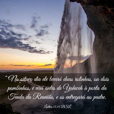 Picture 03 - Levítico 15:14 BSL - “'No oitavo dia ele levará duas rolinhas, ou - Bible Verse Picture