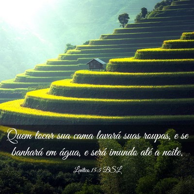 Picture 03 - Levítico 15:5 BSL - Quem tocar sua cama lavará suas roupas, e se - Bible Verse Picture