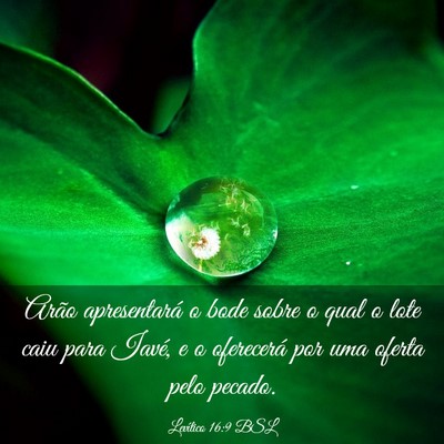 Picture 03 - Levítico 16:9 BSL - Arão apresentará o bode sobre o qual o lote - Bible Verse Picture