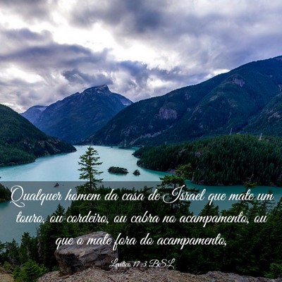 Picture 03 - Levítico 17:3 BSL - Qualquer homem da casa de Israel que mate um - Bible Verse Picture