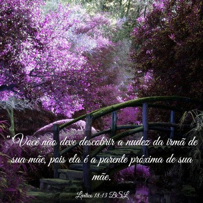 Picture 03 - Levítico 18:13 BSL - “'Você não deve descobrir a nudez da irmã de - Bible Verse Picture