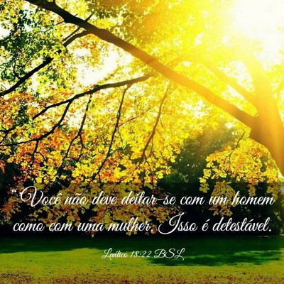 Picture 03 - Levítico 18:22 BSL - “'Você não deve deitar-se com um homem como - Bible Verse Picture