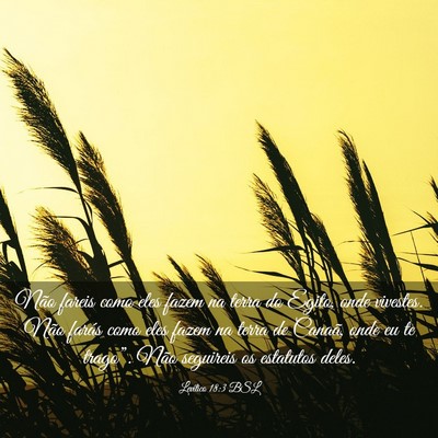 Picture 03 - Levítico 18:3 BSL - Não fareis como eles fazem na terra do Egito, - Bible Verse Picture