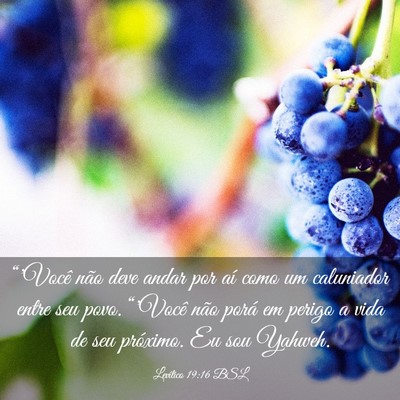 Picture 03 - Levítico 19:16 BSL - “'Você não deve andar por aí como um - Bible Verse Picture