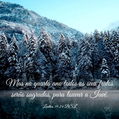 Picture 03 - Levítico 19:24 BSL - Mas no quarto ano todos os seus frutos serão - Bible Verse Picture