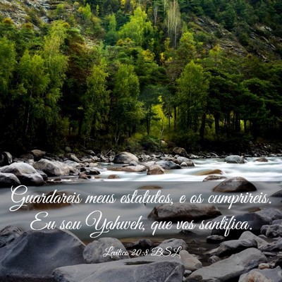 Picture 03 - Levítico 20:8 BSL - Guardareis meus estatutos, e os cumprireis. Eu - Bible Verse Picture