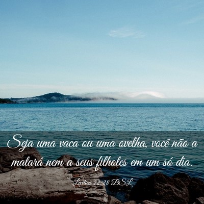 Picture 03 - Levítico 22:28 BSL - Seja uma vaca ou uma ovelha, você não a matará - Bible Verse Picture