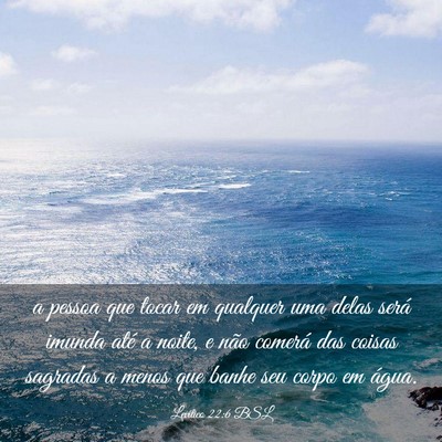 Picture 03 - Levítico 22:6 BSL - a pessoa que tocar em qualquer uma delas será - Bible Verse Picture