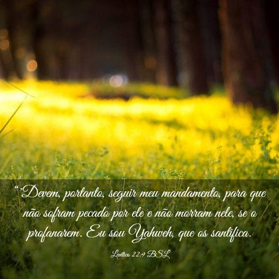 Picture 03 - Levítico 22:9 BSL - “'Devem, portanto, seguir meu mandamento, para - Bible Verse Picture