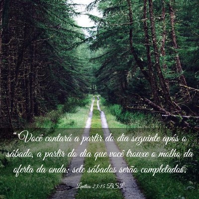 Picture 03 - Levítico 23:15 BSL - “'Você contará a partir do dia seguinte após - Bible Verse Picture