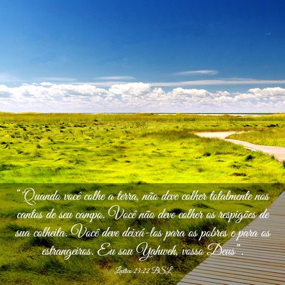 Picture 03 - Levítico 23:22 BSL - “'Quando você colhe a terra, não deve colher - Bible Verse Picture
