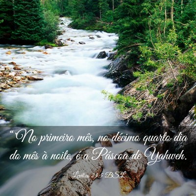 Picture 03 - Levítico 23:5 BSL - “'No primeiro mês, no décimo quarto dia do - Bible Verse Picture