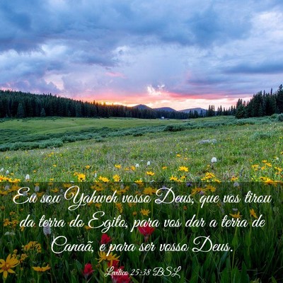 Picture 03 - Levítico 25:38 BSL - Eu sou Yahweh vosso Deus, que vos tirou da terra - Bible Verse Picture
