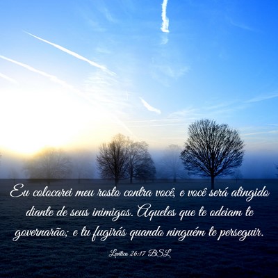 Picture 03 - Levítico 26:17 BSL - Eu colocarei meu rosto contra você, e você - Bible Verse Picture