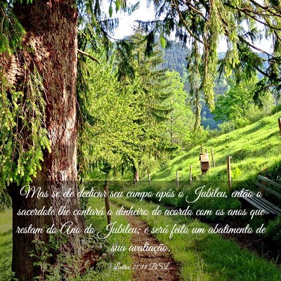 Picture 03 - Levítico 27:18 BSL - Mas se ele dedicar seu campo após o Jubileu, - Bible Verse Picture