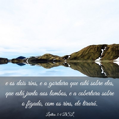 Picture 03 - Levítico 3:4 BSL - e os dois rins, e a gordura que está sobre eles, - Bible Verse Picture