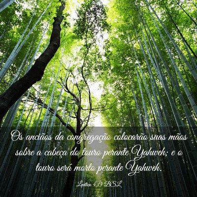 Picture 03 - Levítico 4:15 BSL - Os anciãos da congregação colocarão suas - Bible Verse Picture